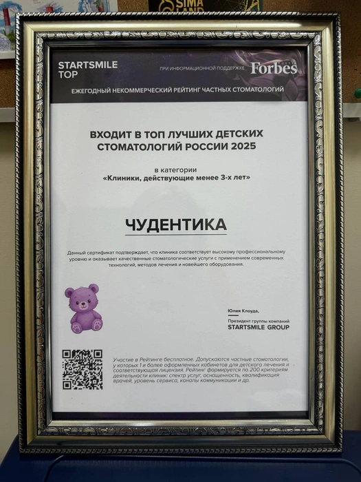 Оценка проводилась по множеству критериев | Источник: «Чудентика»