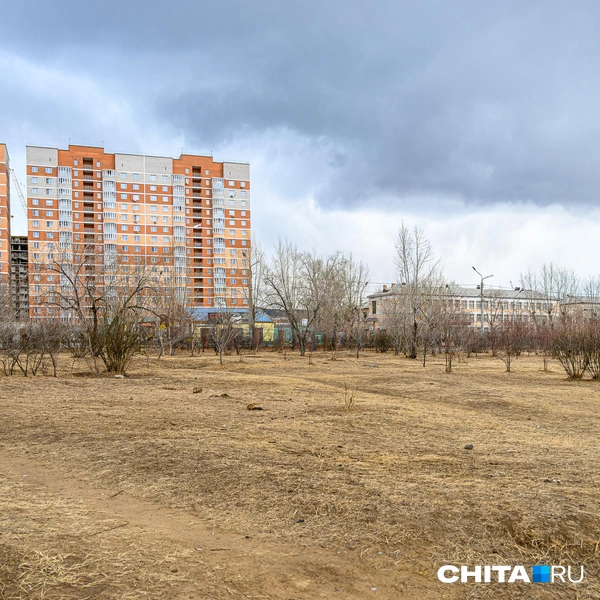 Остальная часть парка&nbsp;— пустырь | Источник: Олег Фёдоров / CHITA.RU