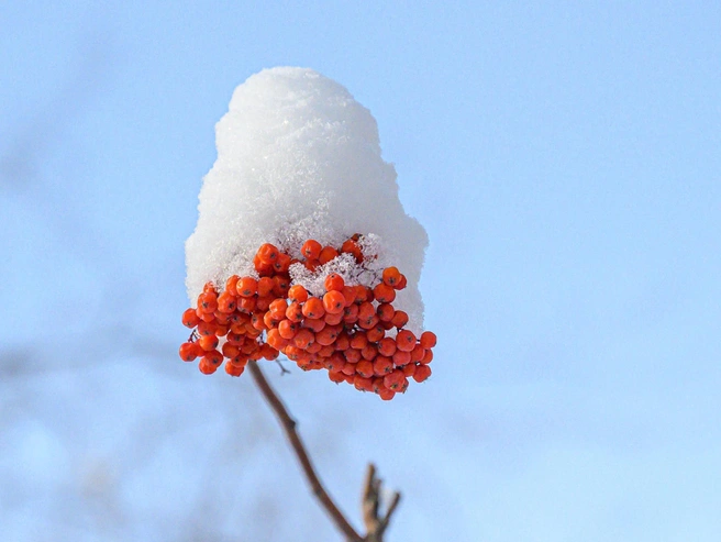 Считается: каков последний день осени, такова и вся зима | Источник: Олег Федоров / CHITA.RU