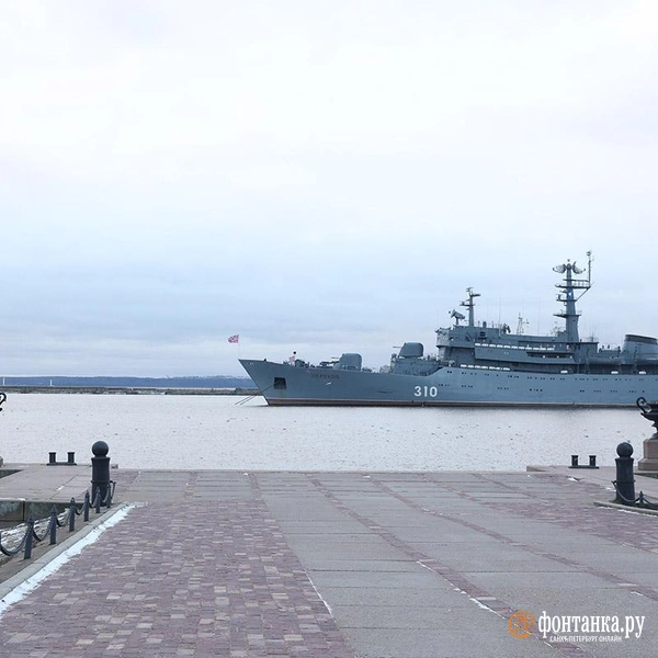 Источник: Сергей Михайличенко / «Фонтанка.ру»