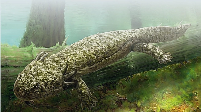 Двинозавры немного похожи на саламандр | Источник: Роман Евсеев