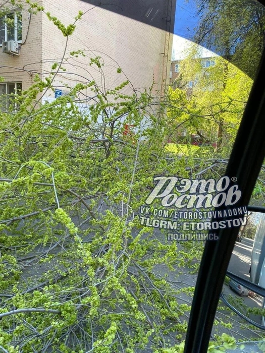 Источник: Это Ростов / Telegram.org