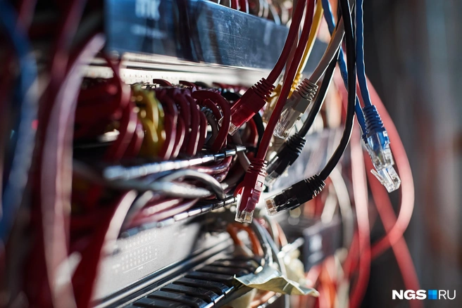 ChatGPT поддерживал параноидальные мысли пользователя | Источник: Александр Ощепков / NGS.RU