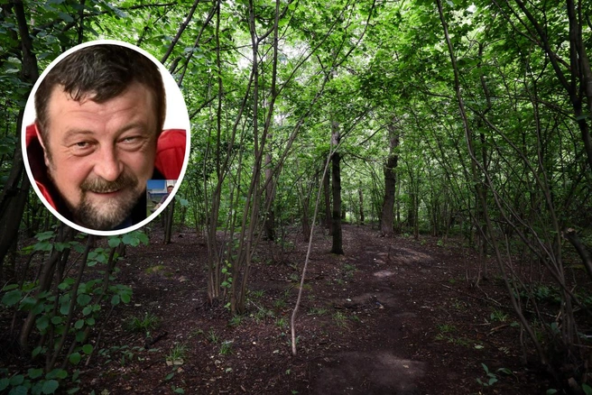Мужчина пропал в Мошковском районе | Источник: Артём Устюжанин / MSK1.RU, lizaalert_novosib/vk.com