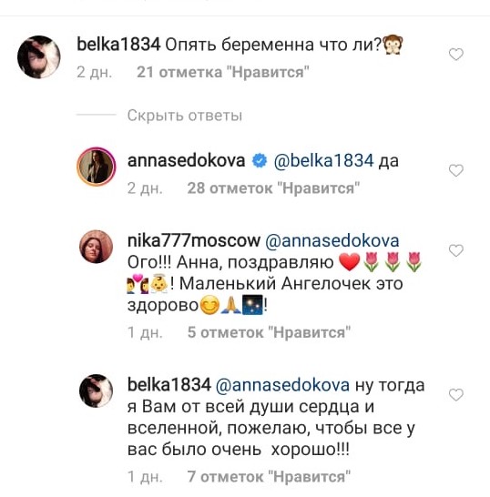 Анна Седокова подтвердила четвертую беременность