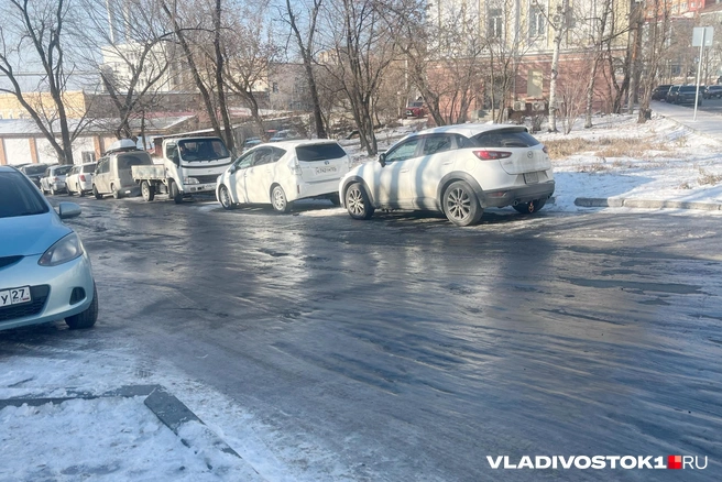 Источник: Елена Буйвол / VLADIVOSTOK1.RU