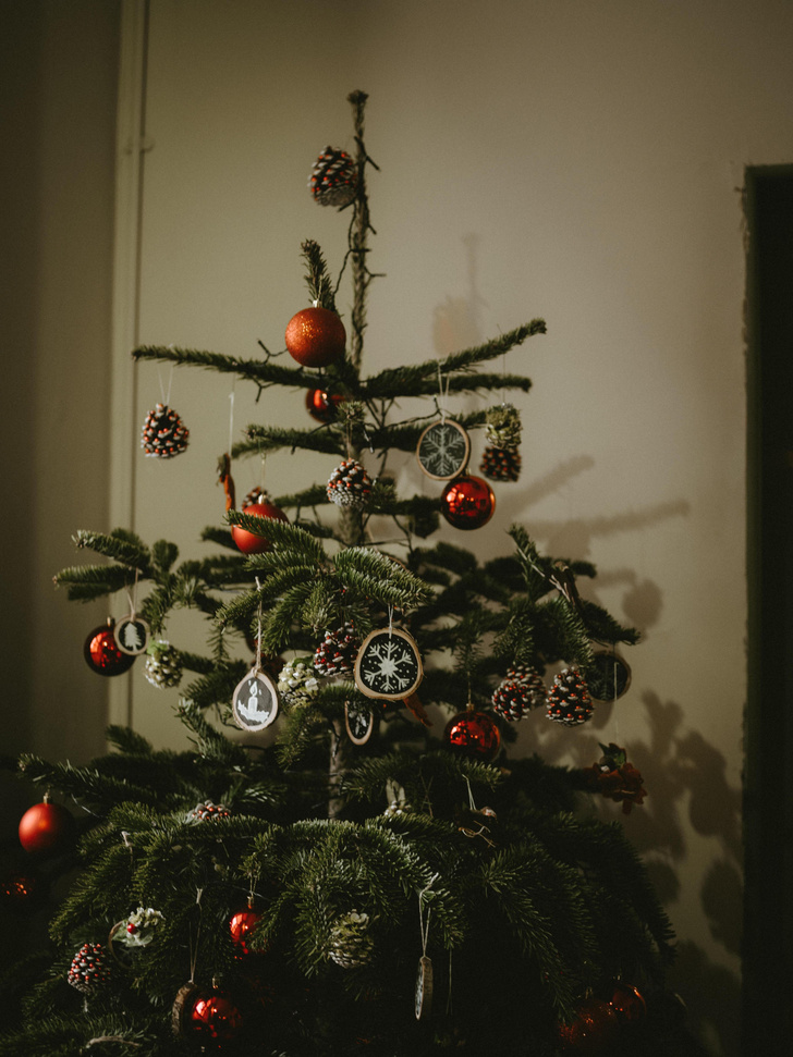 Новогодняя елка в год Дракона: как украсить и сколько стоит