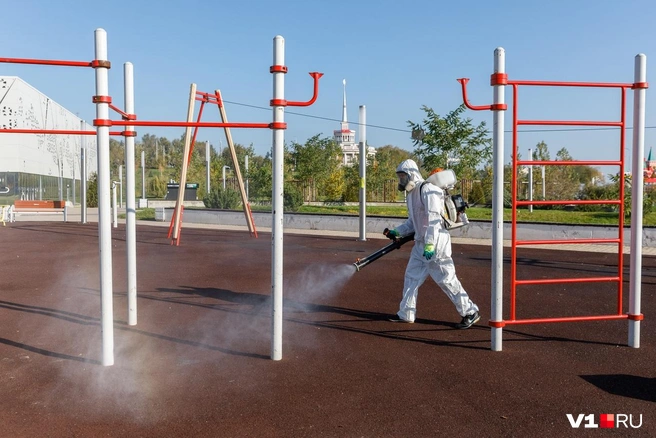 Быстрой обработке подверглись газоны, дорожки и спортплощадка | Источник: Алексей Волхонский