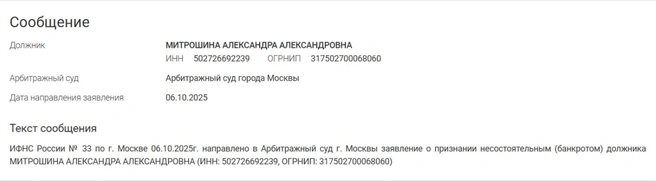 Источник: Fedresurs.ru