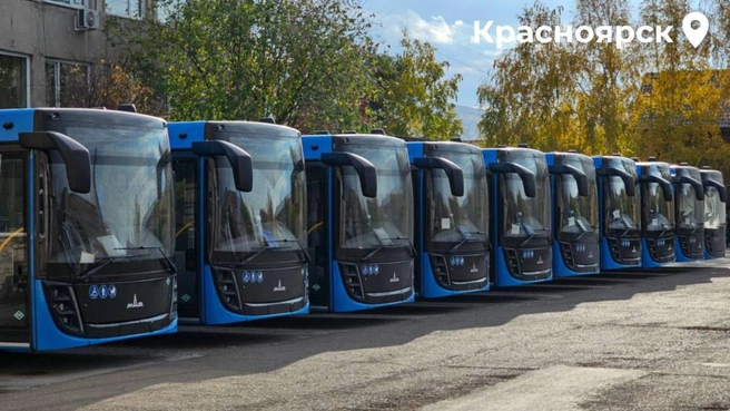 Всего в этом году на улицы выйдут 150 таких машин | Источник: Михаил Котюков / Telegram