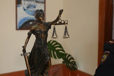 Расследование вырубки леса на 5 млн рублей завершено