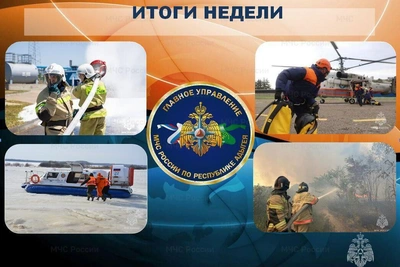 Хроника происшествий за минувшую неделю (22.06.2026)