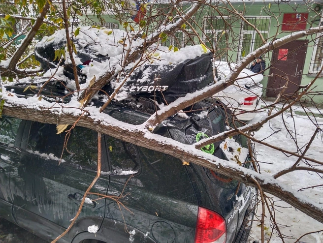 В результате ЧП никто не пострадал | Источник: предоставила Дарья Казак