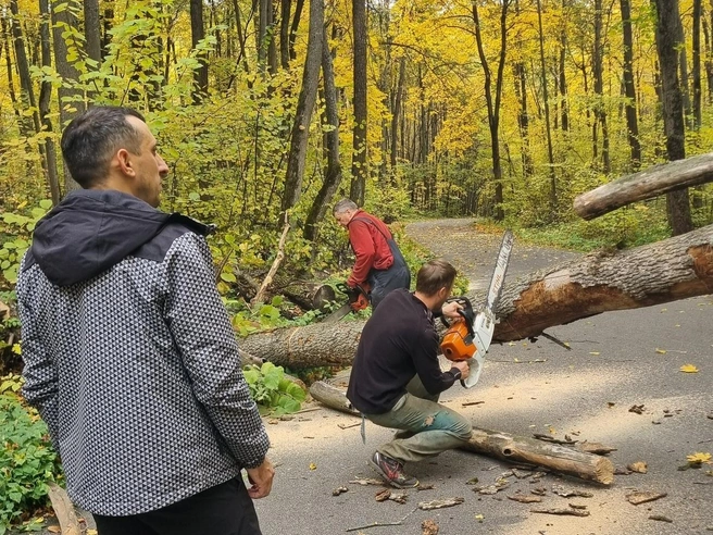 Из-за гула воздуходувки мужчина мог не услышать треск падающего дерева | Источник: СОК Олимпик Воронеж / Vk.com