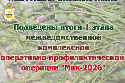 В Смоленской области подвели итоги операции «Мак-2026»