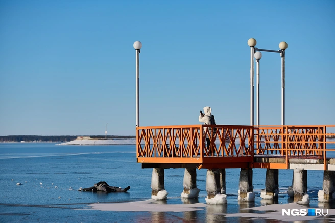 Находчивые горожане устраивали фотосессии | Источник: Александр Ощепков / NGS.RU
