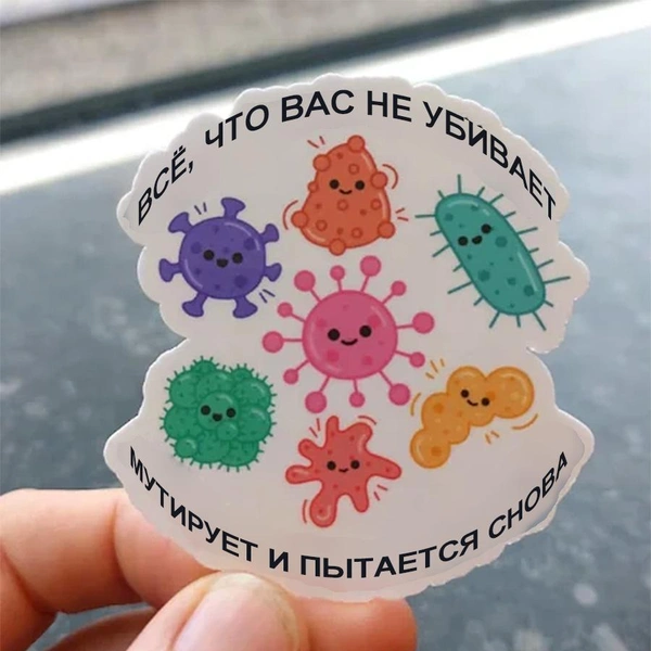 Источник: соцсети