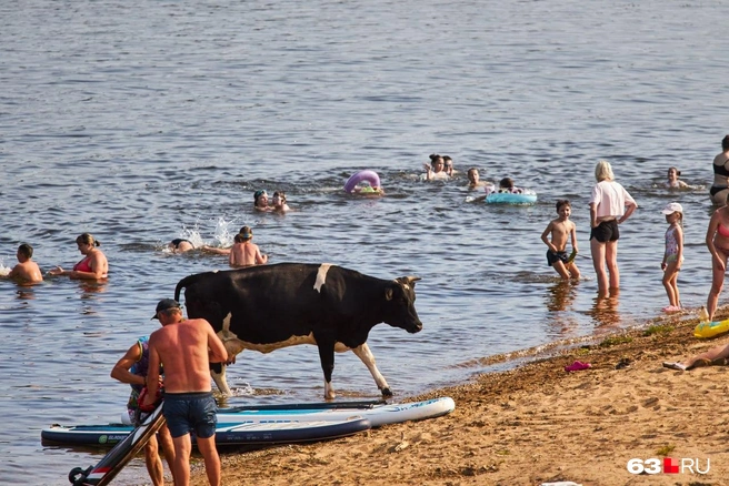 Источник: Роман Данилкин / 63.RU