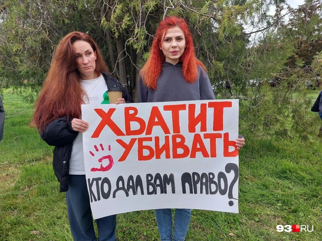 По мнению участников, поправки в закон спровоцируют массовое убийство бездомных животных | Источник: Екатерина Железнова / 93.RU