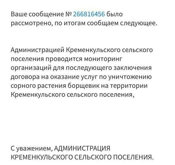 В середине мая власти проводили «мониторинг организаций», но борщевик как был, так и остается на месте | Источник: читатель 74.RU