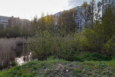 У пруда «Лунный серп» обустроят настил и двухъярусные скамейки