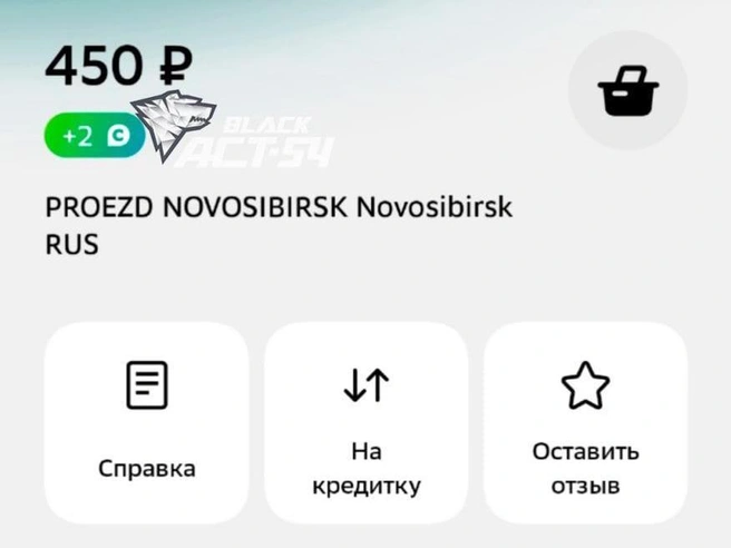В день подорожания проезда до 45 рублей в наземном транспорте некоторые пассажиры столкнулись с существенной переплатой. | Источник: «АСТ-54 Black» / Telegram