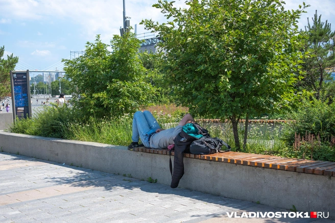 Источник: Елена Буйвол / VLADIVOSTOK1.RU