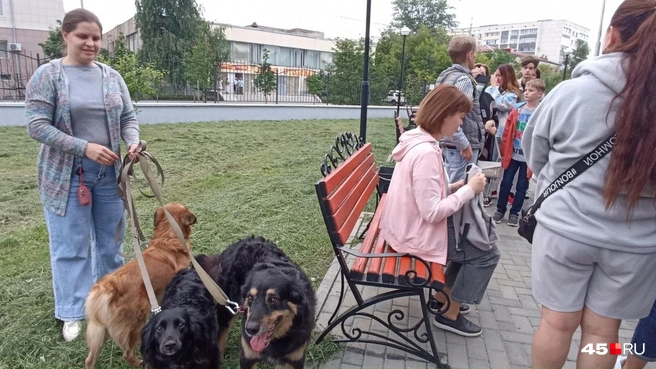 Послушать про историю города Кургана пришли даже собаки | Источник: Анна Сарапульцева /45.RU