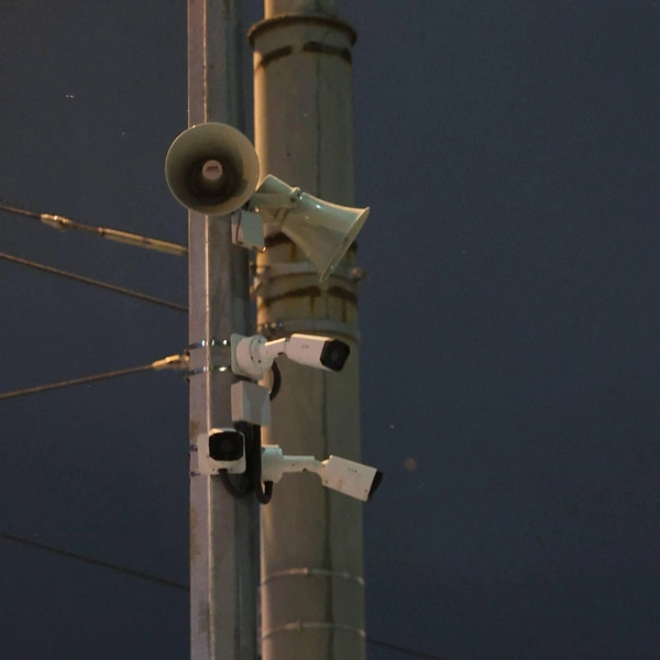 Источник: Комитет по транспорту Петербурга