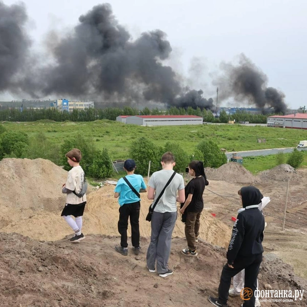 Источник: Валентин Егоршин / «Фонтанка.ру»