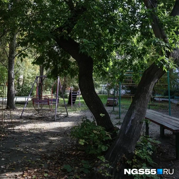 Выглядит как нормальная площадка | Источник: Евгений Софийчук / NGS55.RU
