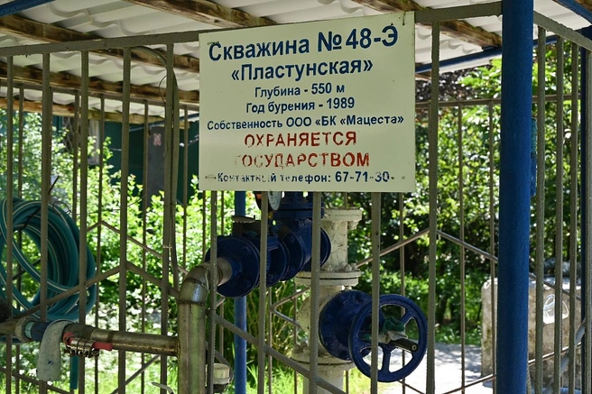 «Пластунская»&nbsp;— гидрокарбонатно-натриевая вода с высоким содержанием фтора, которая помогает укреплять иммунитет и повысить тонус организма | Источник: sochi.ru