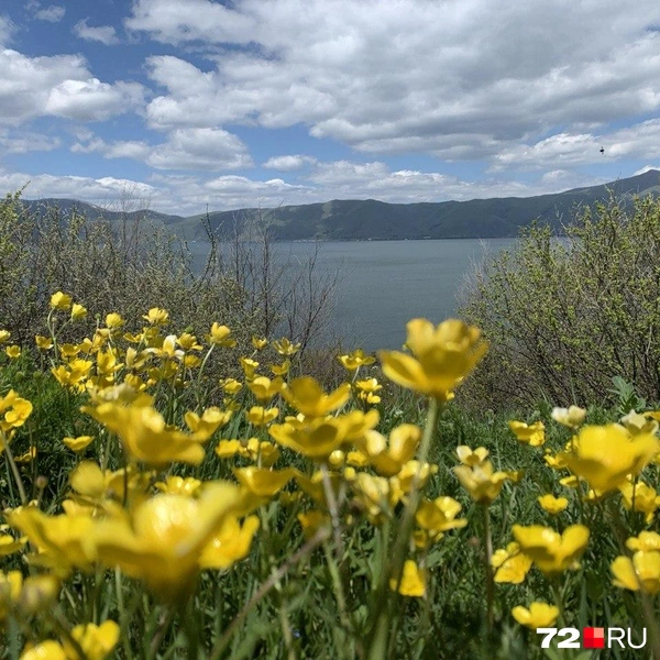 Источник: Полина Перепелица / 72.RU