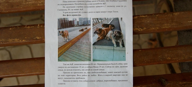 «Сейчас их трое. Дружная семья. Их нельзя отделять друг от друга»,&nbsp;— писала в обращении в ведомства группа поддержки Альбины Гордеевны | Источник: Vadim Reyman