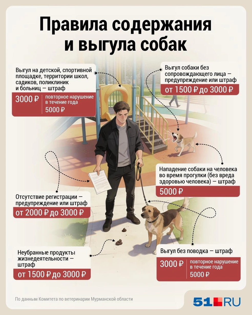 Источник: Дмитрий Гладышев / Городские медиа