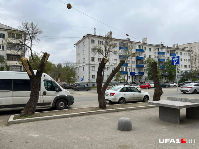 Горожане не очень понимают, зачем так делать | Источник: Андрей Бирюков / UFA1.RU