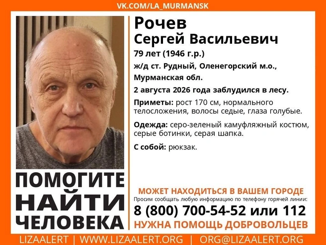Источник: поисковый отряд «ЛизаАлерт» Мурманской области / Vk.com