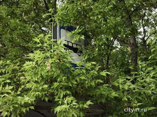 Источник: www.city-n.ru