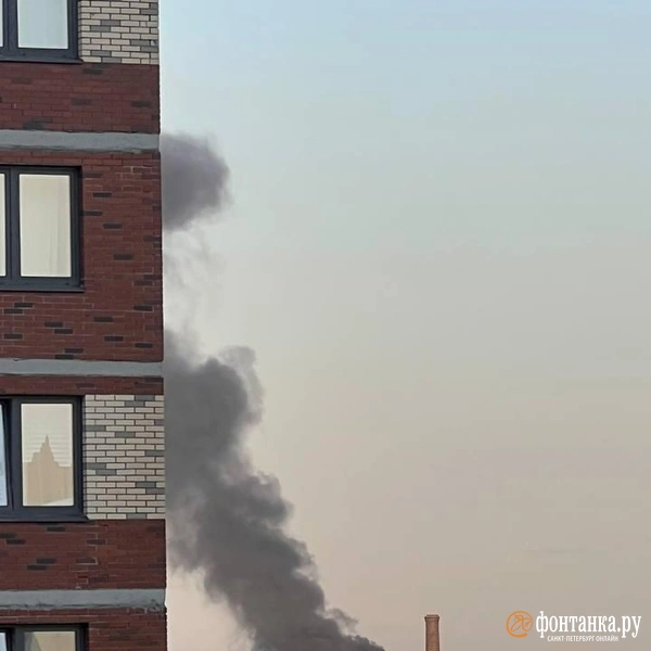 Источник: читатель «Фонтанки»
