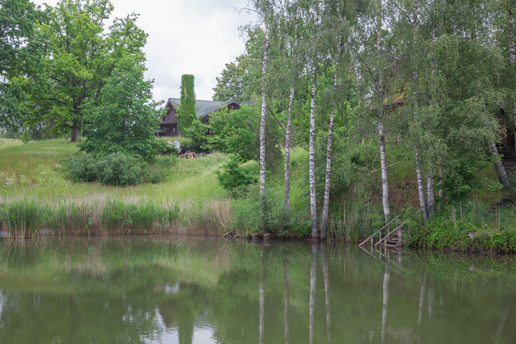 Участок за 300 тысяч евро, дом на берегу пруда. Как устроилась Чулпан Хаматова в Латвии