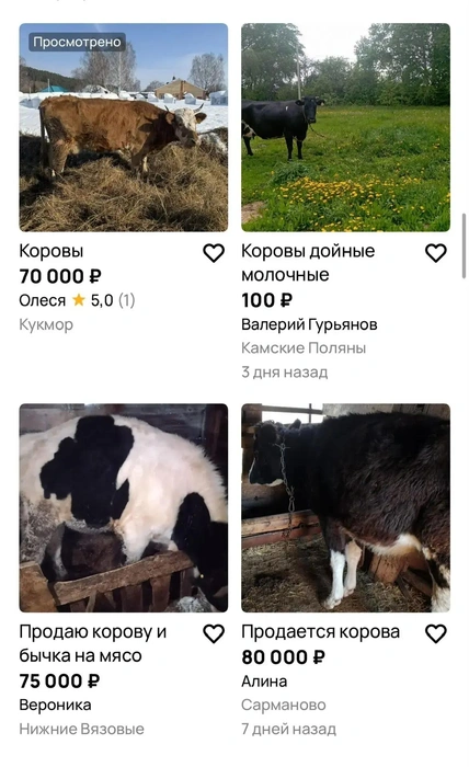 Источник: Avito.ru