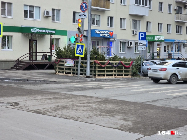 Елочный базар на Вольской, где летом была смертельная авария | Источник: Семен Коротов-Майбах / 164.RU