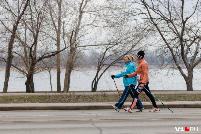 На старт вышли и поклонники скандинавской ходьбы | Источник: Алексей Волхонский / V1.RU