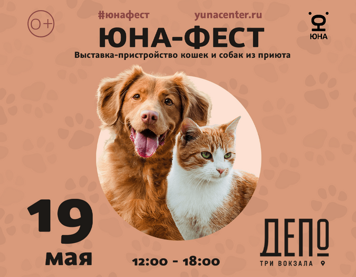 Выставка-пристройство кошек и собак из приюта «Юна-Фест»