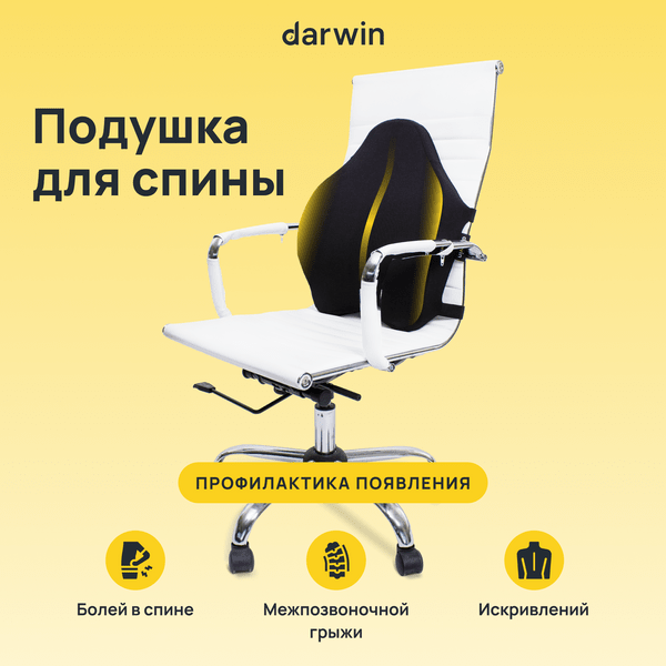 Подушка на стул для спины Darwin с эффектом памяти