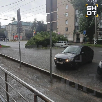 А это зеленое насаждение рухнуло прямо на автомобиль | Источник: SHOT / T.me