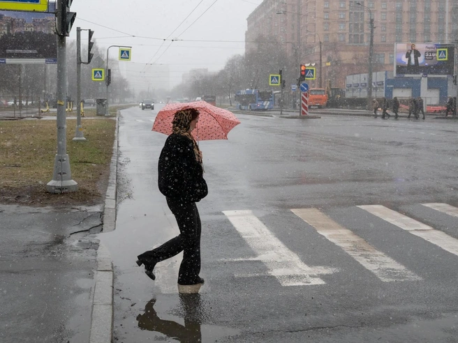 Похолодание в Ярославской области усилится | Источник: Андрей Бок / FONTANKA.RU