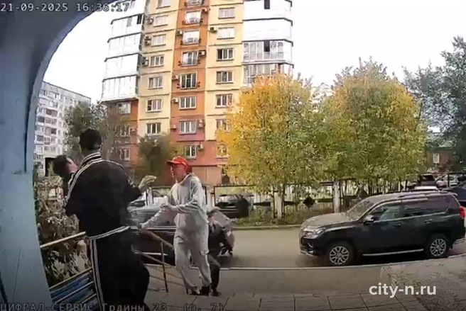 Нападение зафиксировала камера домофона | Источник: www.city-n.ru