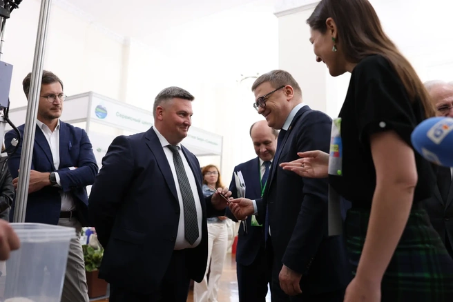 Источник: пресс-служба правительства Челябинской области 