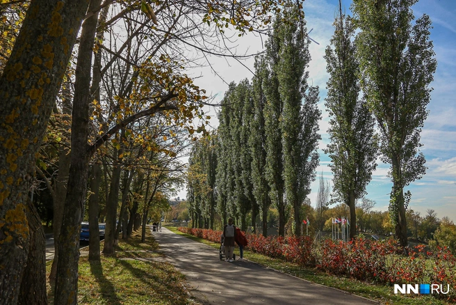 В начале осени нижегородцев ждет относительно теплая погода | Источник: Наталья Бурухина / NN.RU